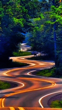 Curvy Forest Road wallpaper