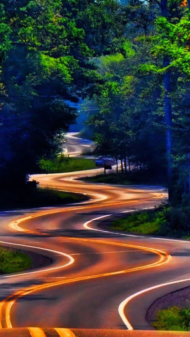 640x1136 Curvy Forest Road - grass iPhone Wallpaper