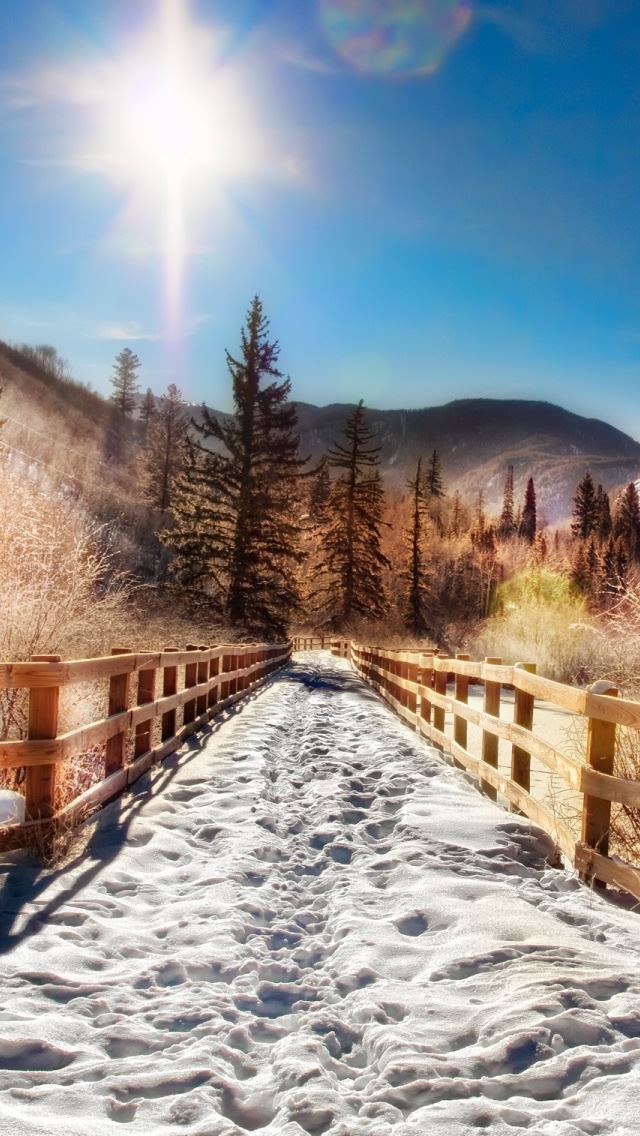 640x1136 Aspen Trail Winter - winter iPhone Wallpaper