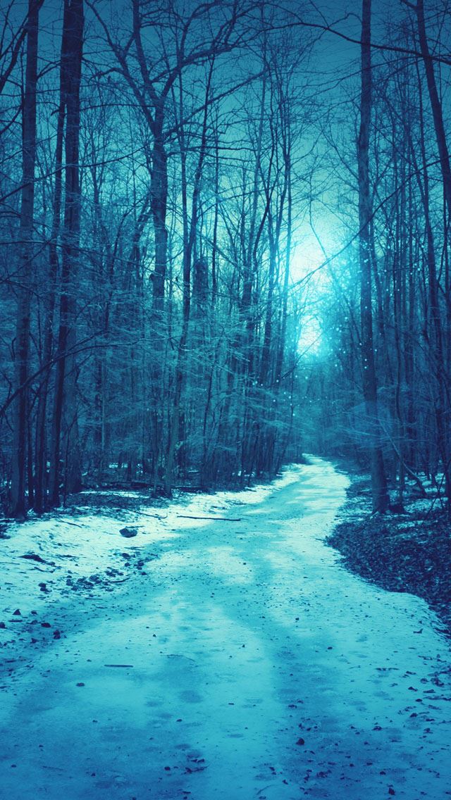 640x1136 Winter road - road iPhone Wallpaper