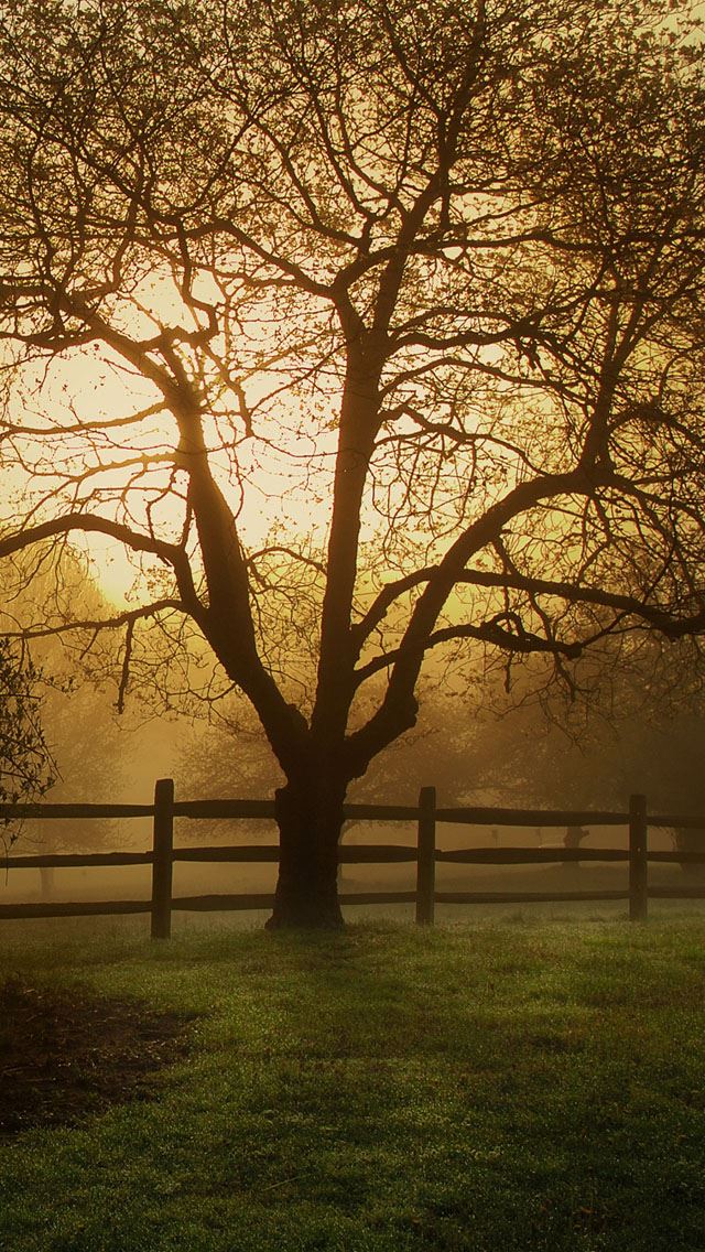 640x1136 Countryside farm - countryside iPhone Wallpaper