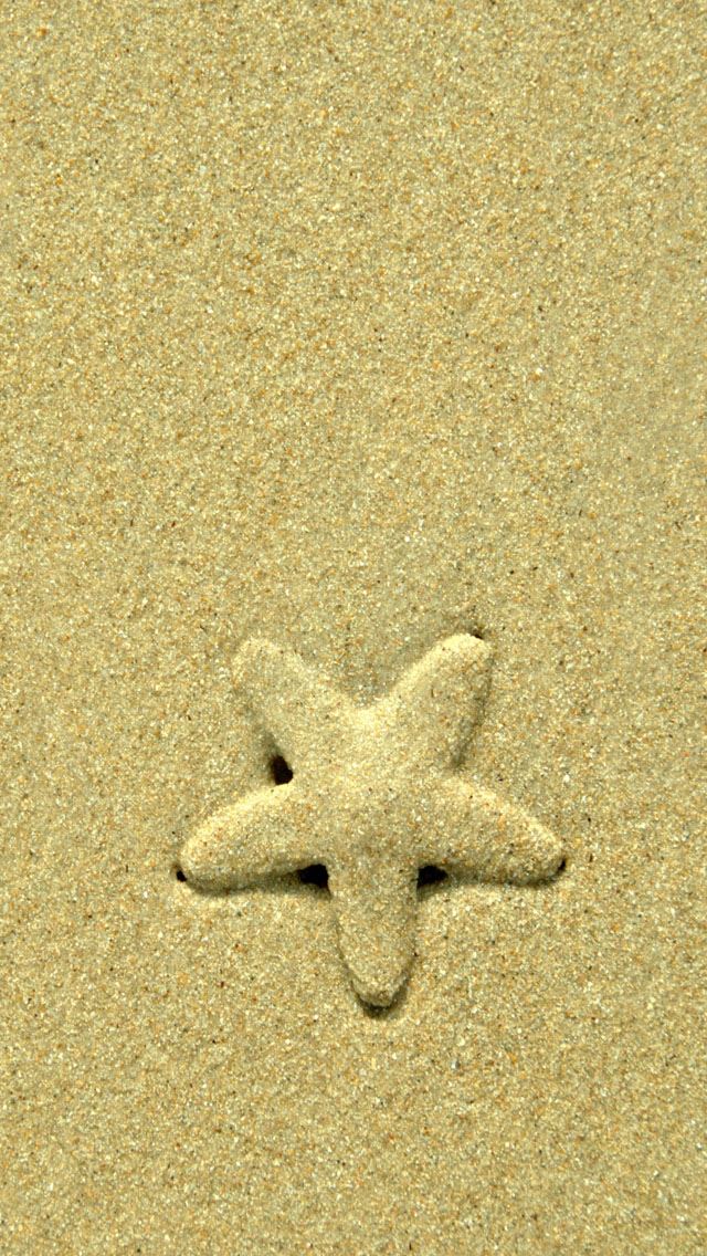 640x1136 Starfish - sand iPhone Wallpaper