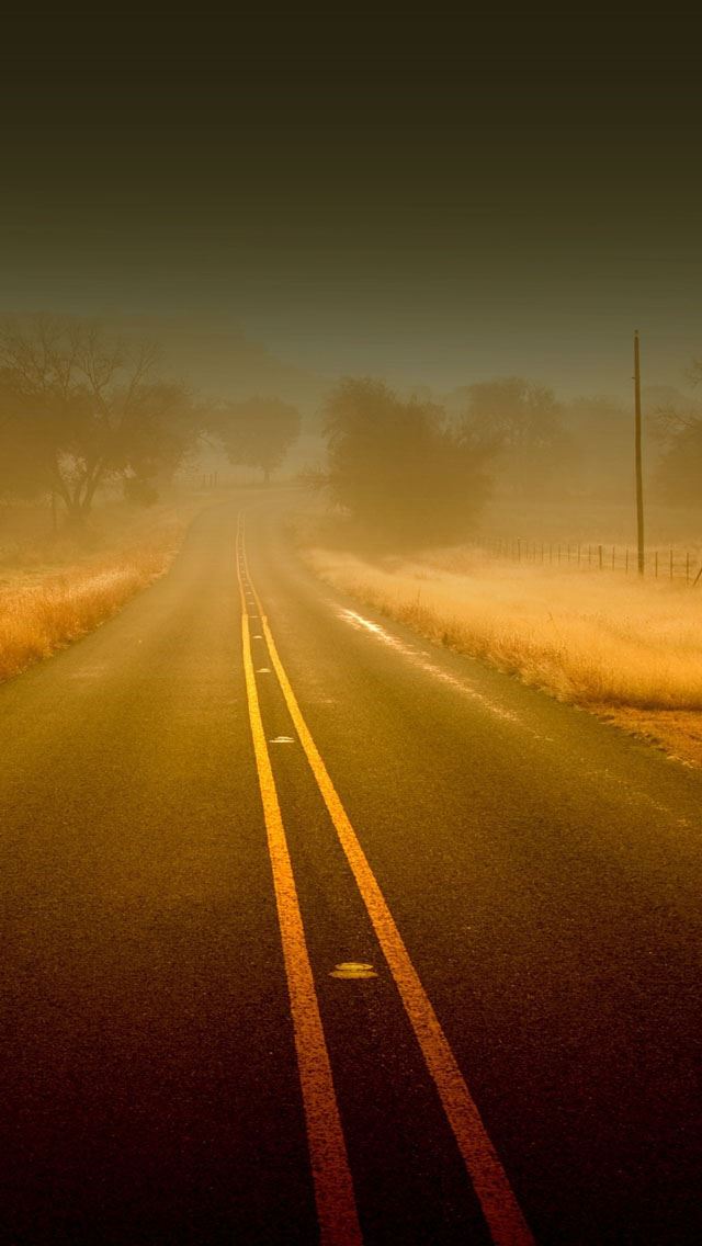 640x1136 Yellow Grass road - road iPhone Wallpaper