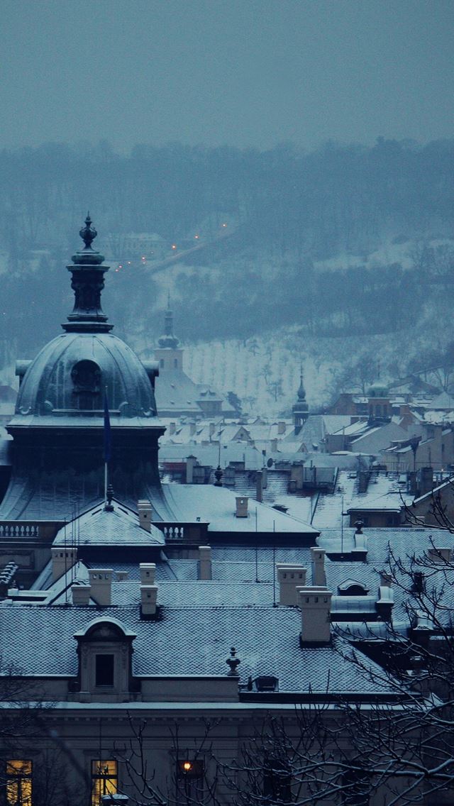 640x1136 Cold winter - roof iPhone Wallpaper