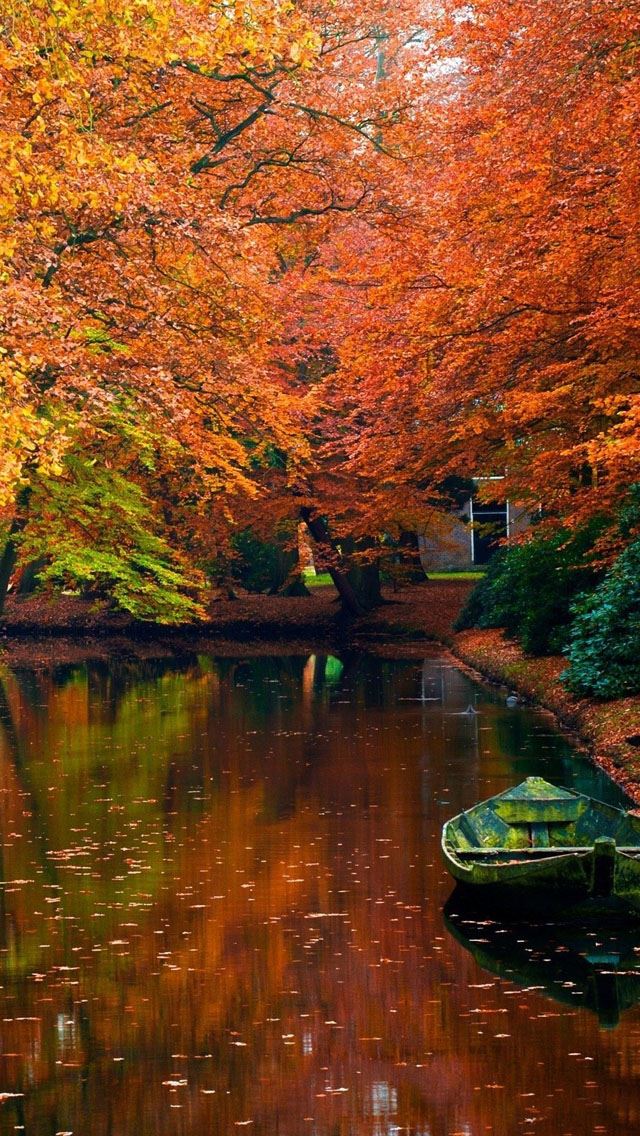 640x1136 Lake in autumn landscape - lake iPhone Wallpaper