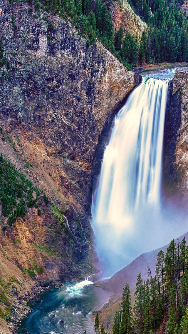 640x1136 Lower Falls Yellowstone National Park - tree iPhone Wallpaper