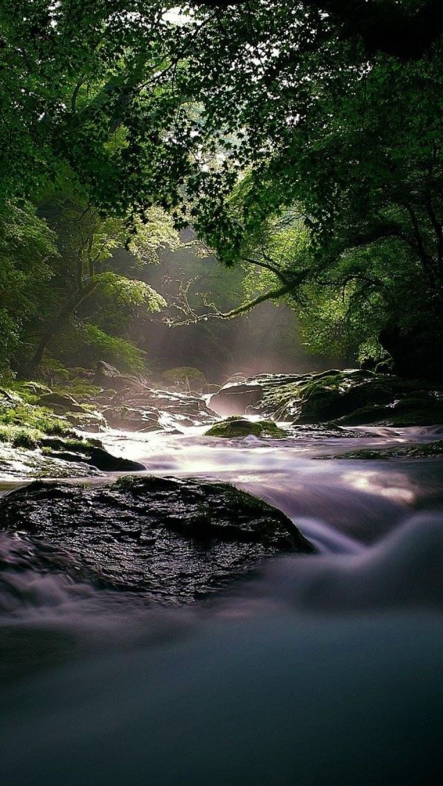 640x1136 Path To The Light - path iPhone Wallpaper