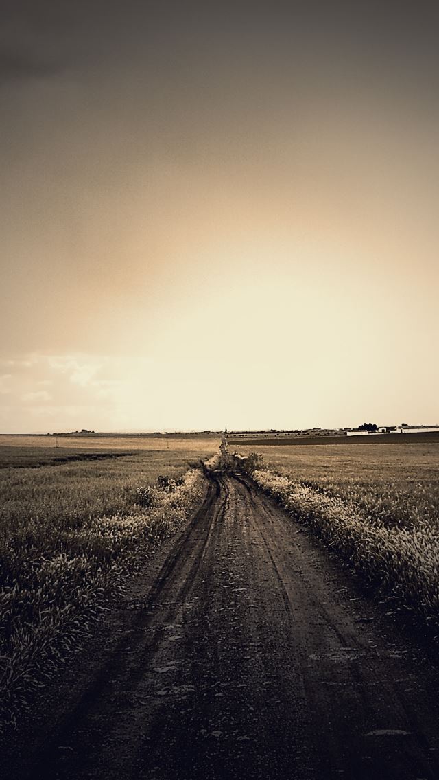 640x1136 Field Way - stone iPhone Wallpaper