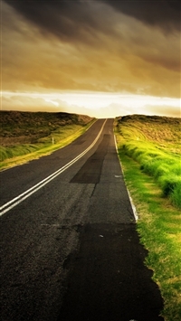 Road In Green Fields wallpaper