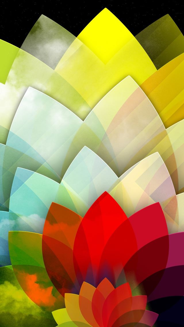 640x1136 Sky Flower - petal iPhone Wallpaper