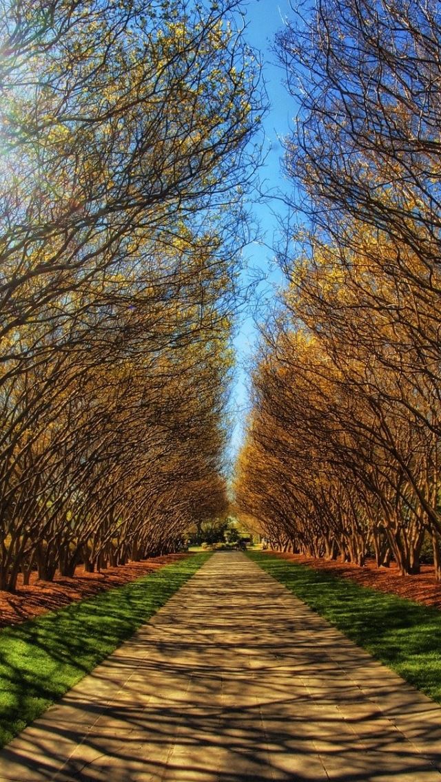 640x1136 Park Alley - road iPhone Wallpaper