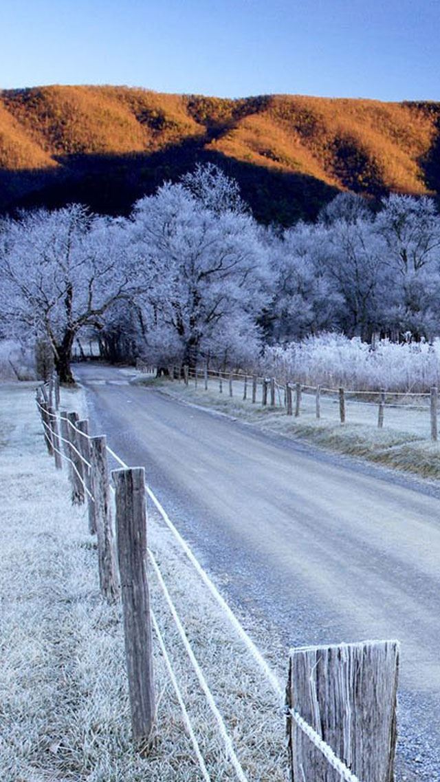 640x1136 Snow trees and road - trees iPhone Wallpaper