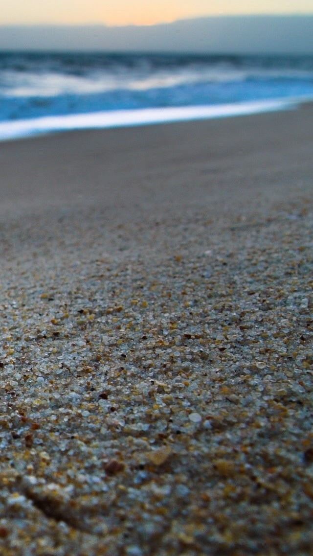 640x1136 Seashell On Beach - sand iPhone Wallpaper