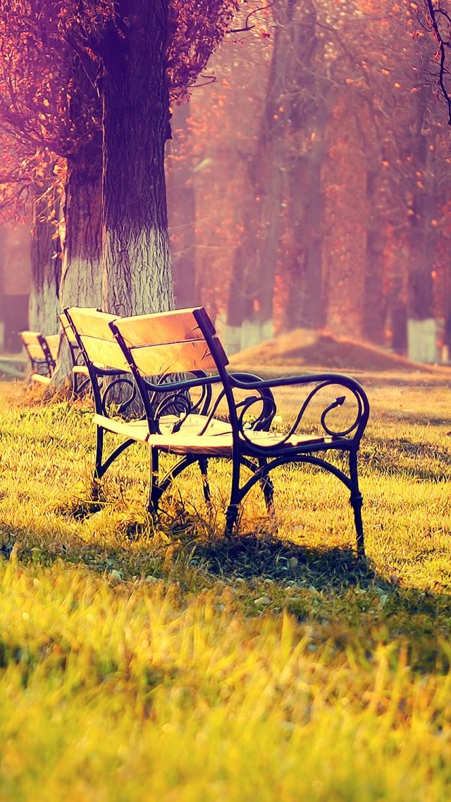 640x1136 Autumn Landscape - chair iPhone Wallpaper
