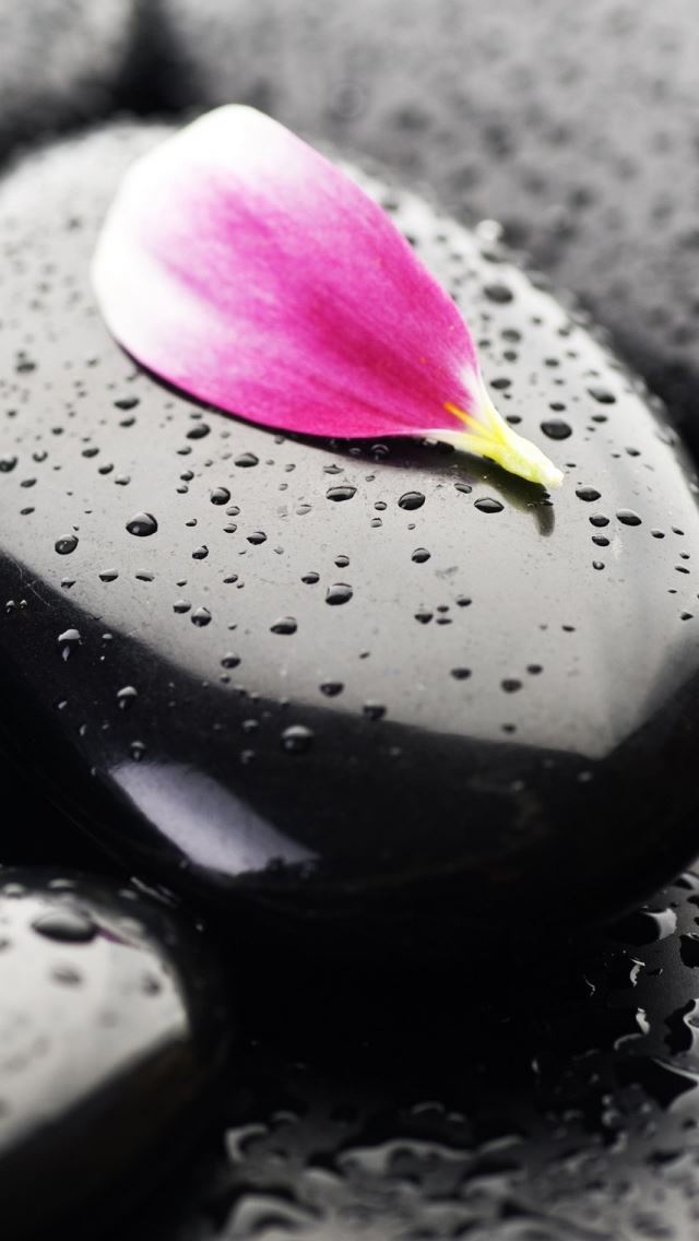 640x1136 Stone Flower - droplet iPhone Wallpaper