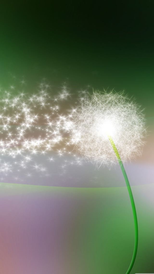 640x1136 Dandelion Green - dandelion iPhone Wallpaper