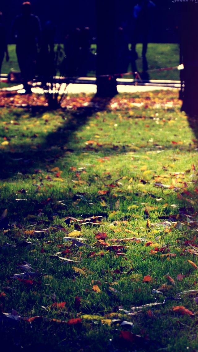 640x1136 Armenian Autumn - autumn iPhone Wallpaper