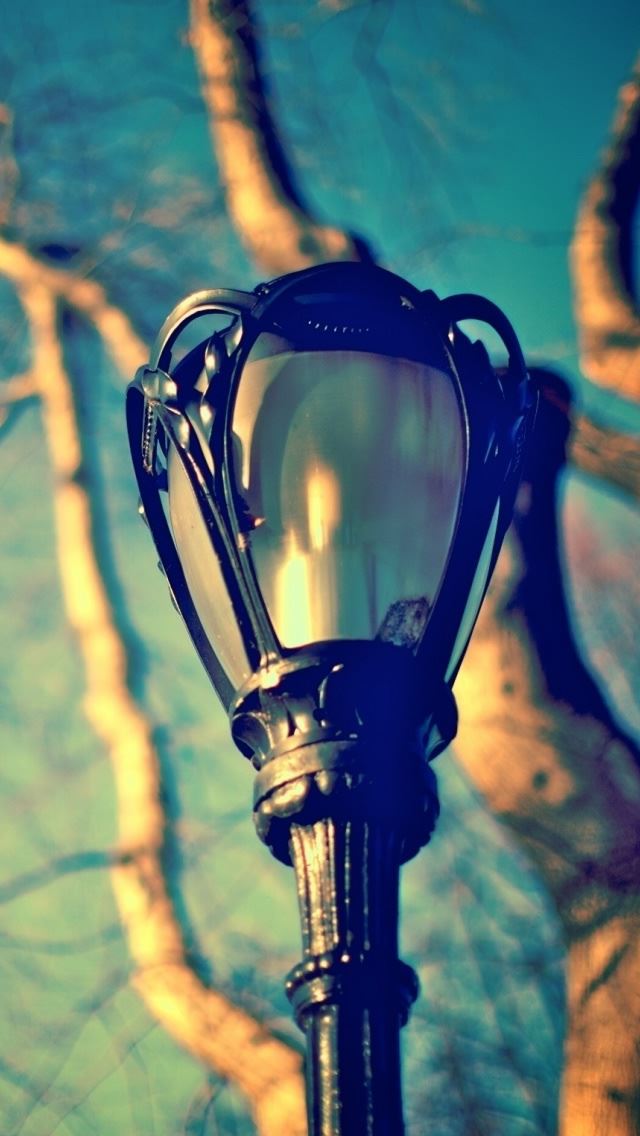 640x1136 Street Lamp - branch iPhone Wallpaper