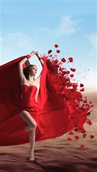 The last rose wallpaper