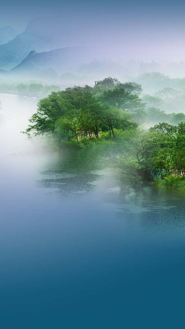640x1136 Misty Landscape - tree iPhone Wallpaper
