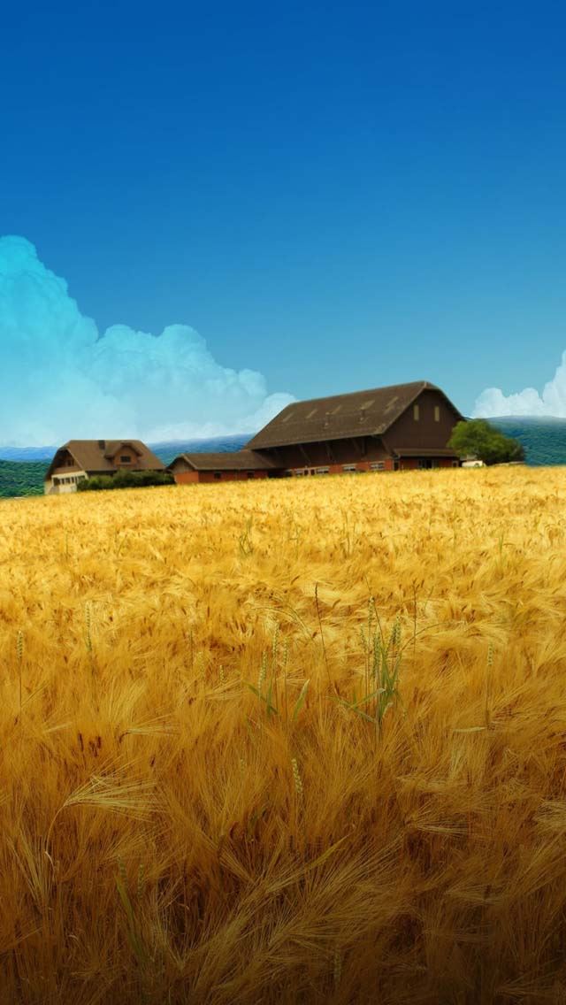 640x1136 Golden waves of grain - waves iPhone Wallpaper