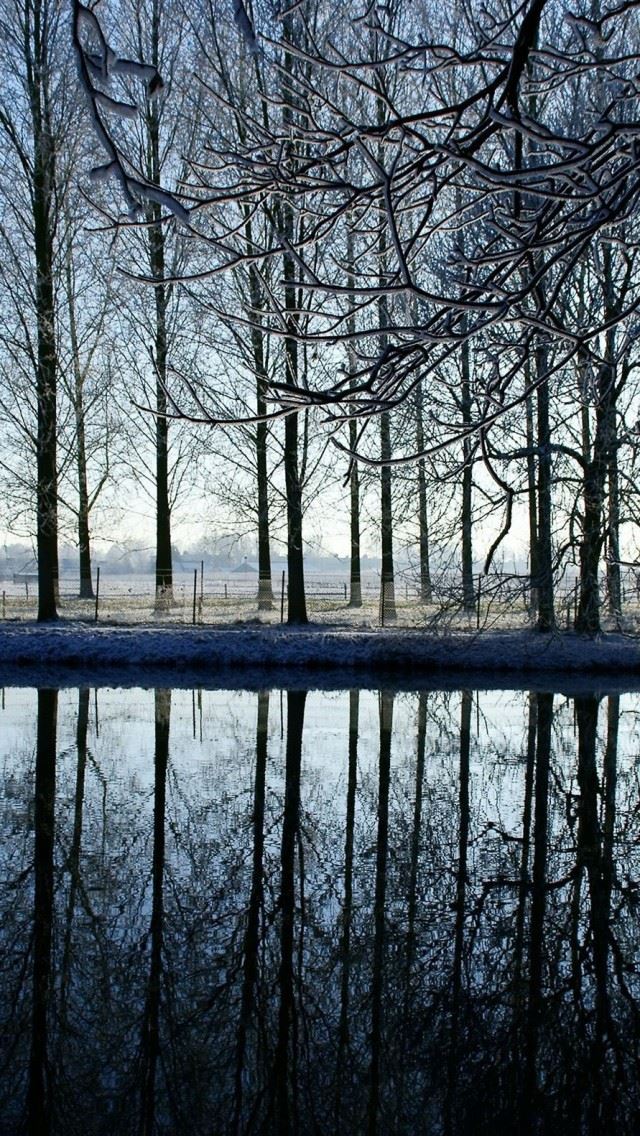 640x1136 Reflection Kromme Rijn River - branch iPhone Wallpaper