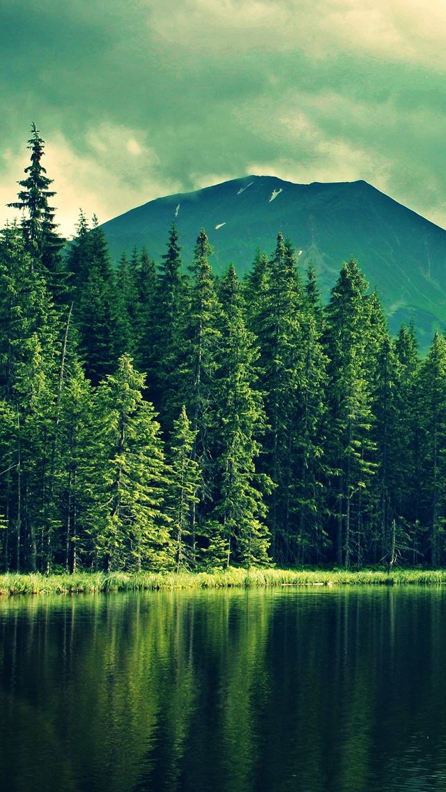640x1136 Lake and tree -  iPhone Wallpaper