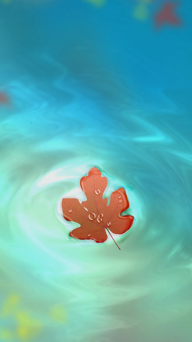 640x1136 Fallen autumn leaves - fallen iPhone Wallpaper