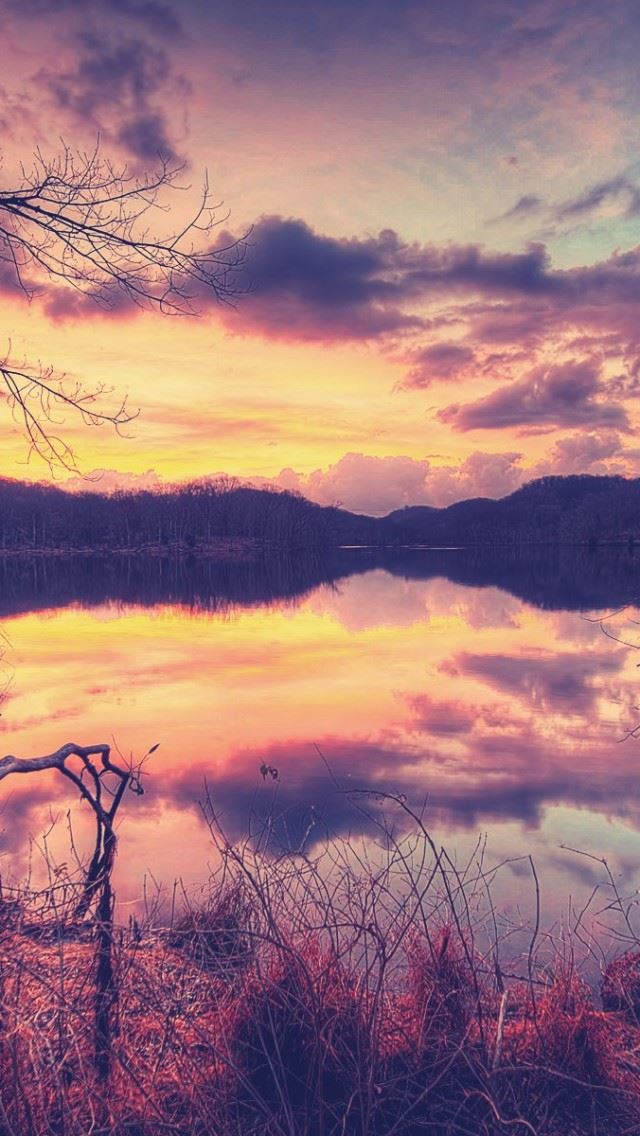 640x1136 Rednor Lake - branch iPhone Wallpaper