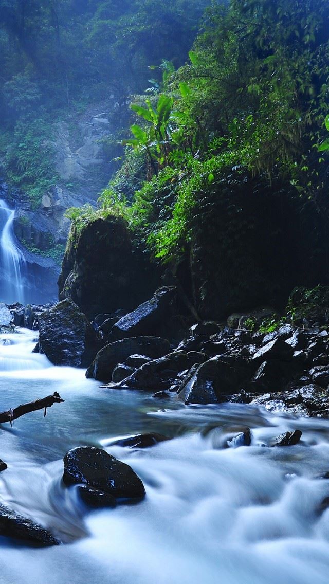 640x1136 Beautiful Taiwan Forest Waterfalls - taiwan iPhone Wallpaper