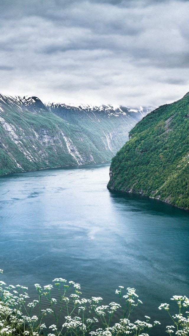 640x1136 Beautiful Norwegian Landscape - flower iPhone Wallpaper
