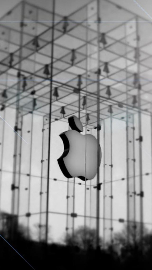 640x1136 Apple Store - tree iPhone Wallpaper