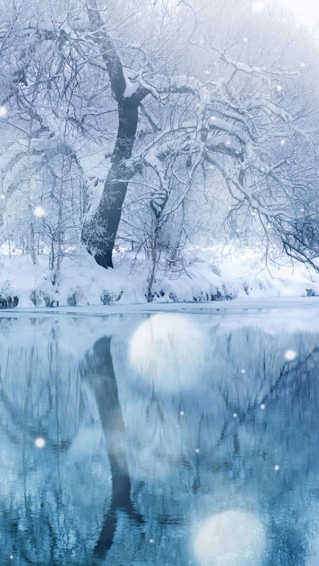 640x1136 Winter Snowfall - snowfall iPhone Wallpaper
