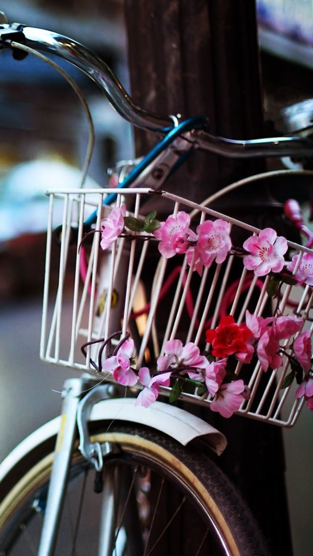 640x1136 Flower Bike - flower iPhone Wallpaper