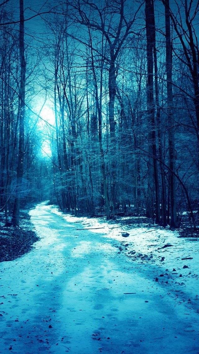640x1136 Winter Trees Roads - trees iPhone Wallpaper