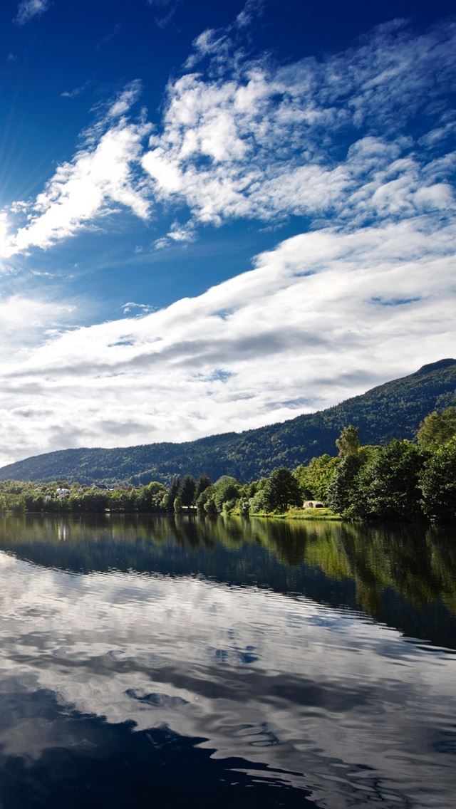 640x1136 Norway nature - trees iPhone Wallpaper