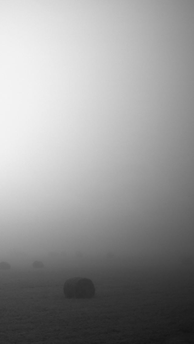 640x1136 Mist - farm iPhone Wallpaper