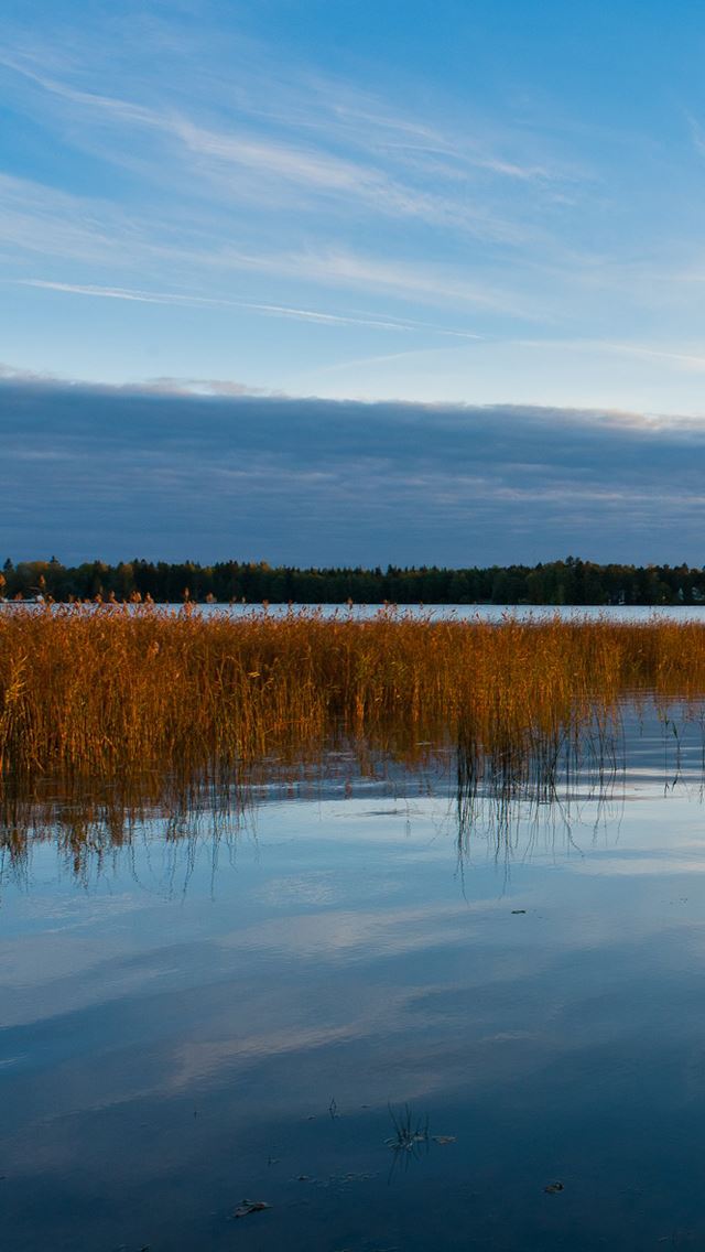 640x1136 September Finland - lake iPhone Wallpaper