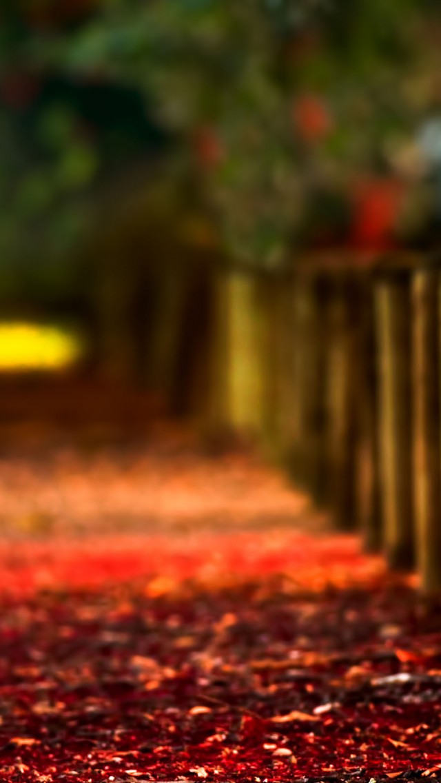 Autumn Fence iPhone Wallpapers Free Download