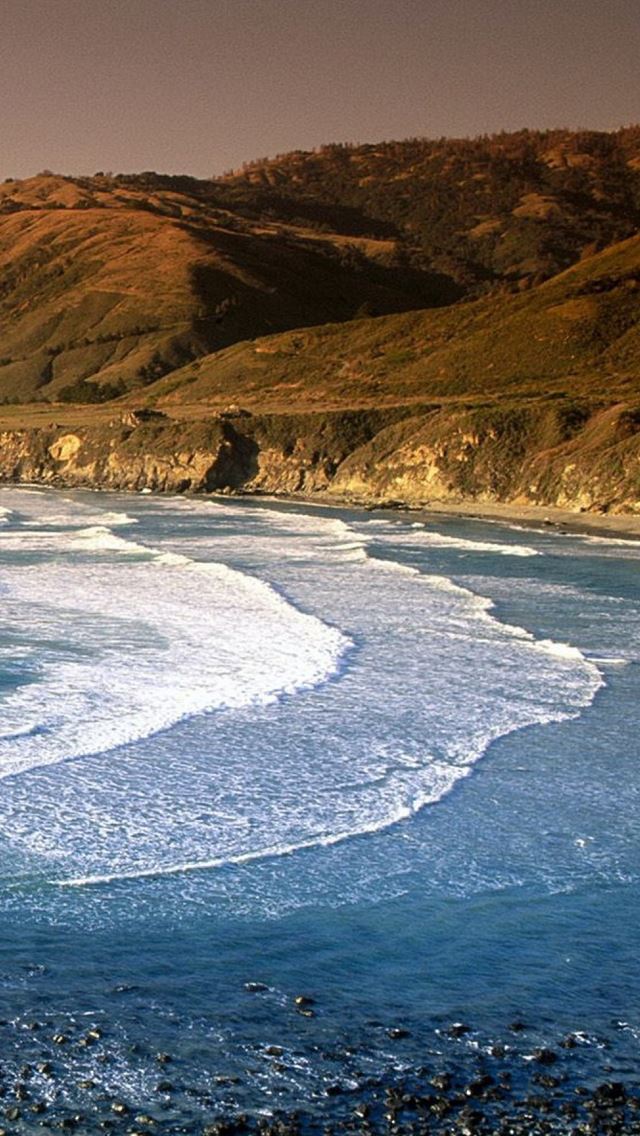 640x1136 Sand Dollar Beach - waves iPhone Wallpaper