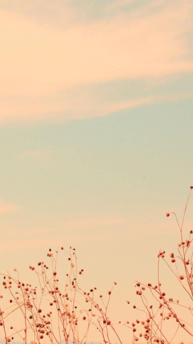 640x1136 Antelope Island Utah -  iPhone Wallpaper