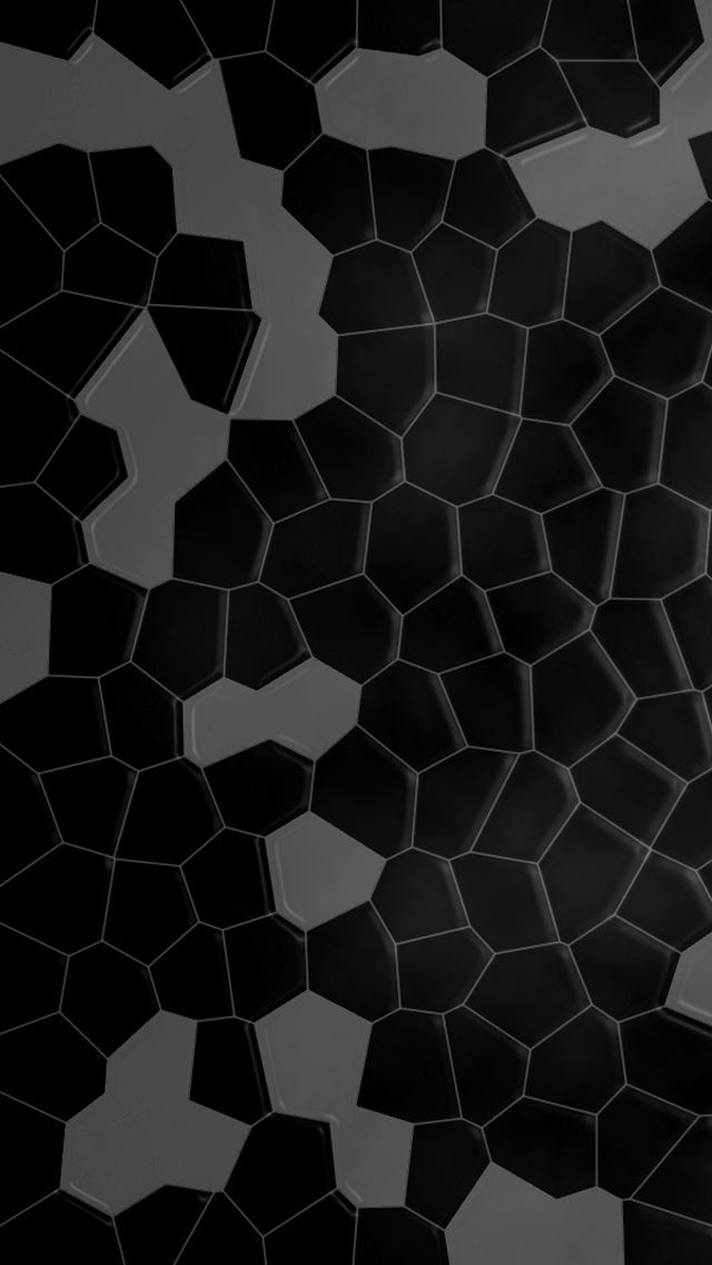 640x1136 Shell -  iPhone Wallpaper