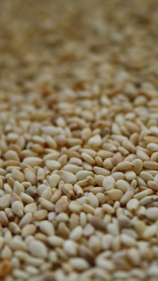 640x1136 Sesame - sesame iPhone Wallpaper