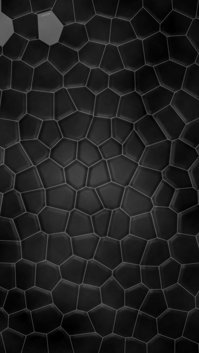 640x1136 Shell - leather iPhone Wallpaper