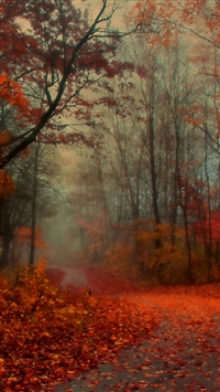Romantic Autumn wallpaper