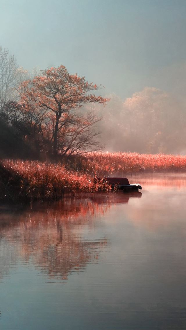 640x1136 Pink plants lake - smoke iPhone Wallpaper