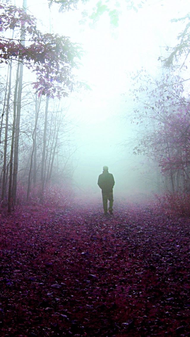 640x1136 Mystery Walks - branch iPhone Wallpaper