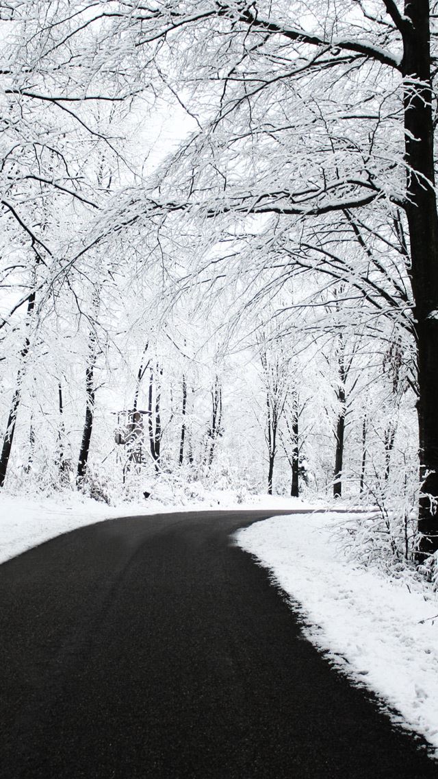 640x1136 Forest covered with snow - road iPhone Wallpaper