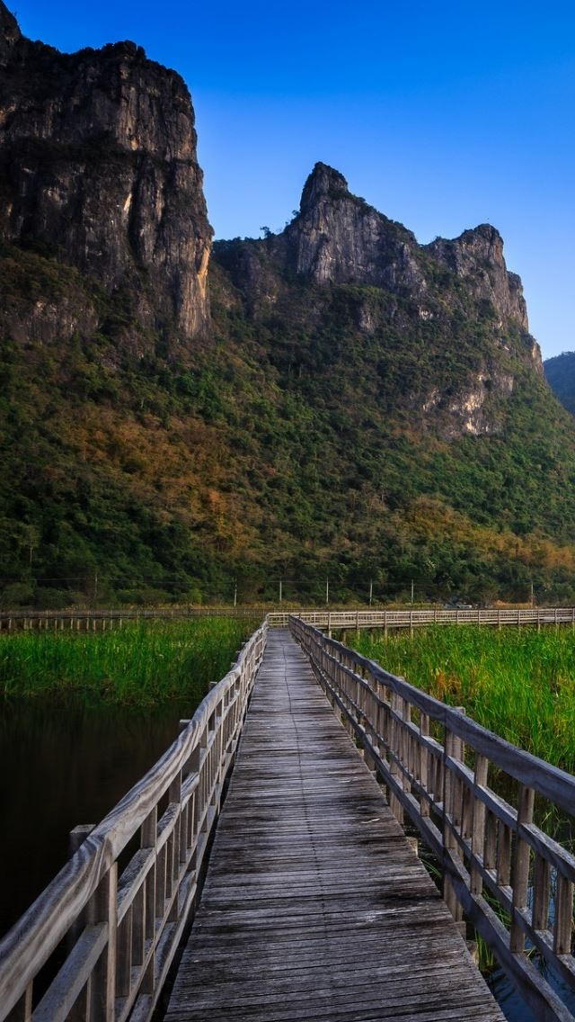 640x1136 Lake And Mountains Landscape - wood iPhone Wallpaper