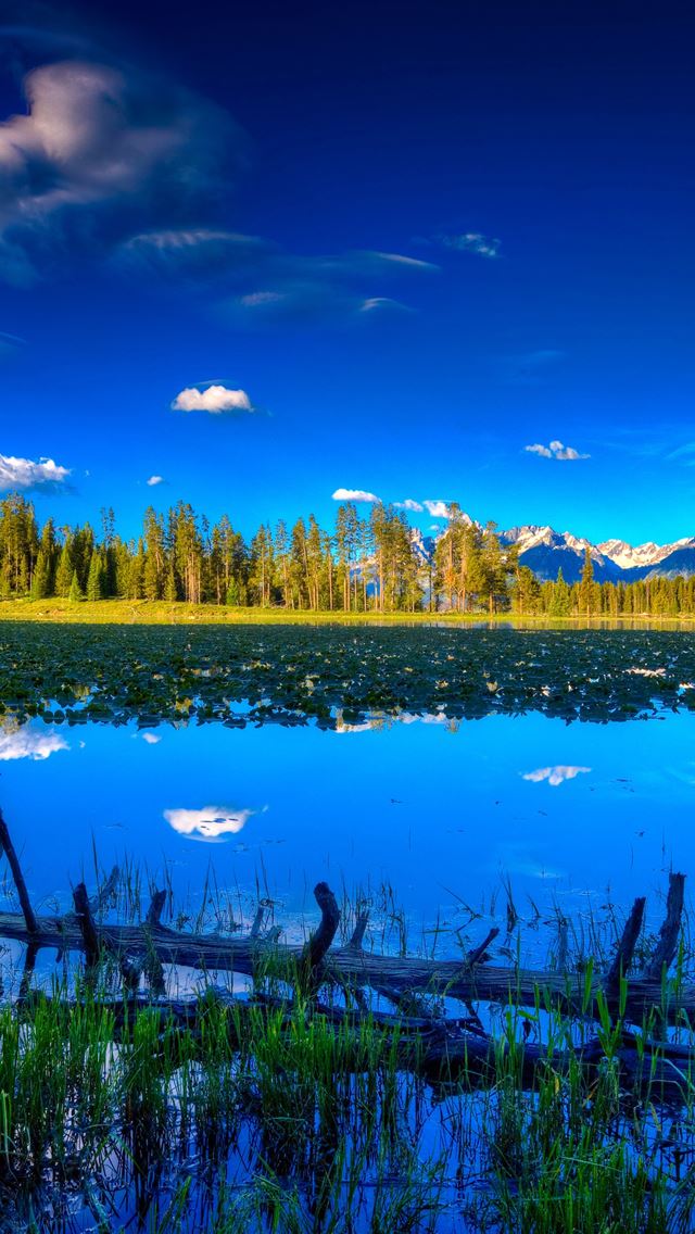 640x1136 Blue landscape - lake iPhone Wallpaper